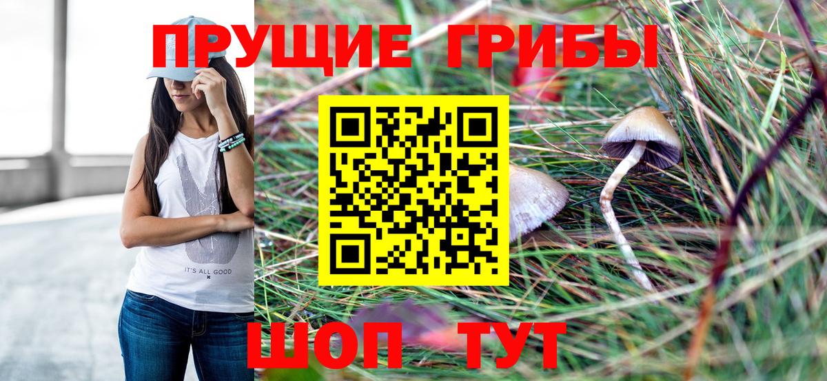Галлюциногенные грибы мицелий Балтийск