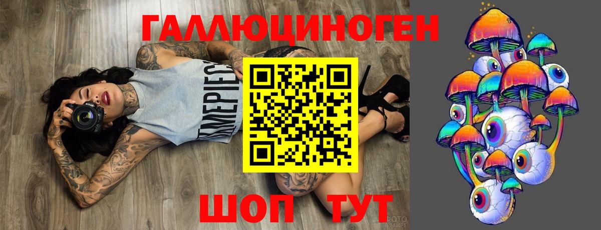 Галлюциногенные грибы Psilocybe  Вход с VPN  Балтийск 